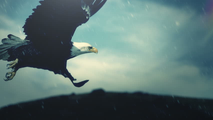 eagle