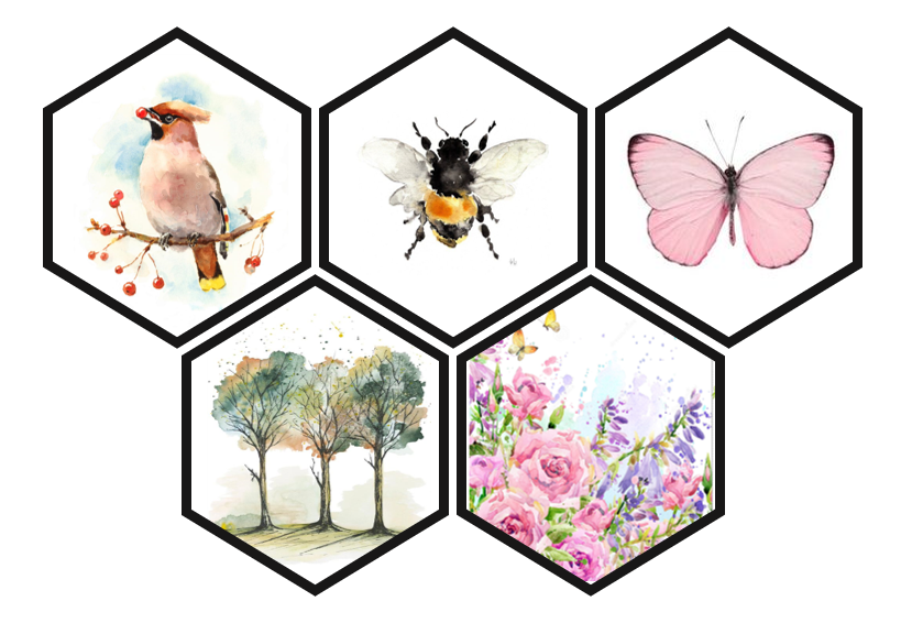 Birds, Bees, Butterflies, Trees and Flowers – Boni de Jesus
